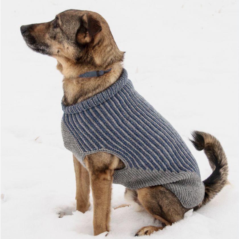 Bird Island Dog Sweater