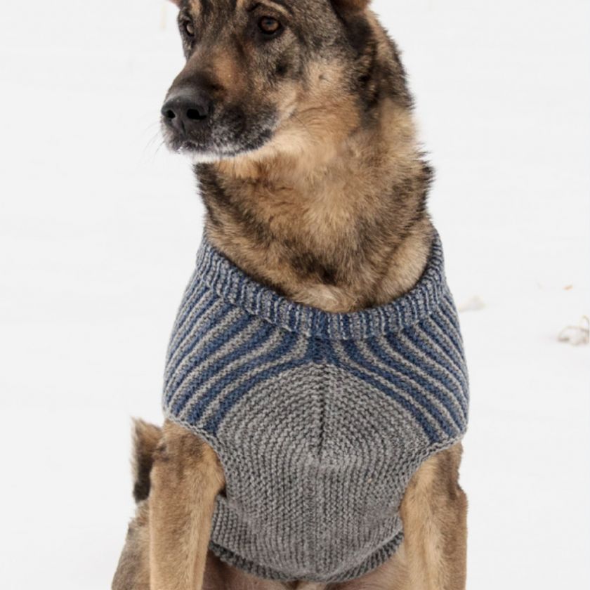 Bird Island Dog Sweater